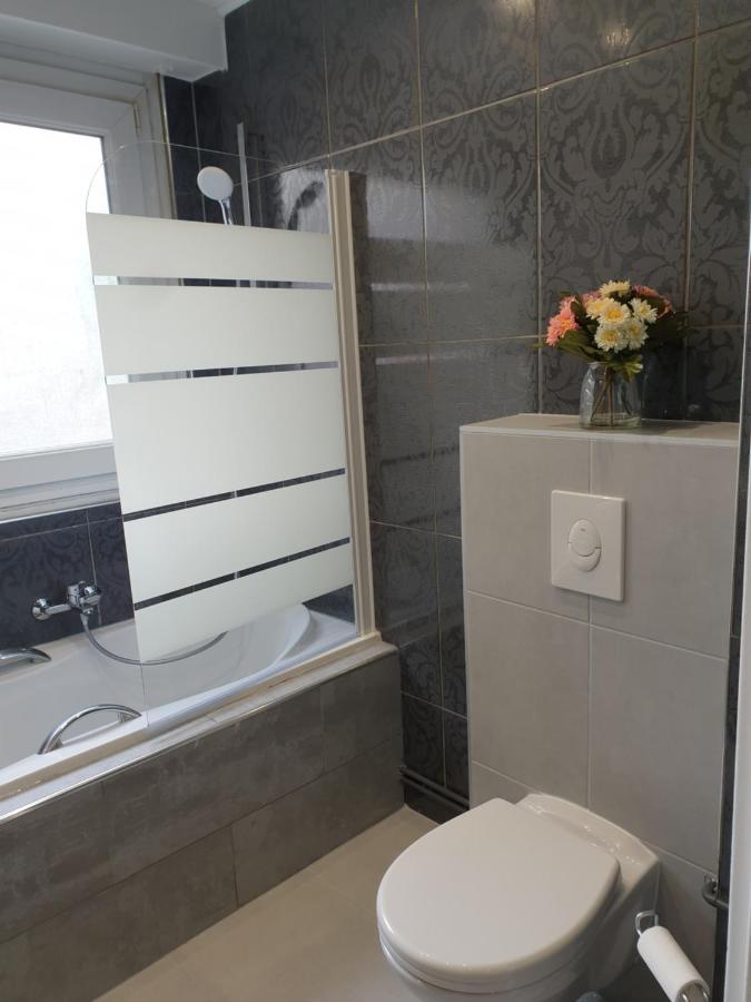 Appartement La Roseraie Proche Centre/Gare Metz Exteriör bild